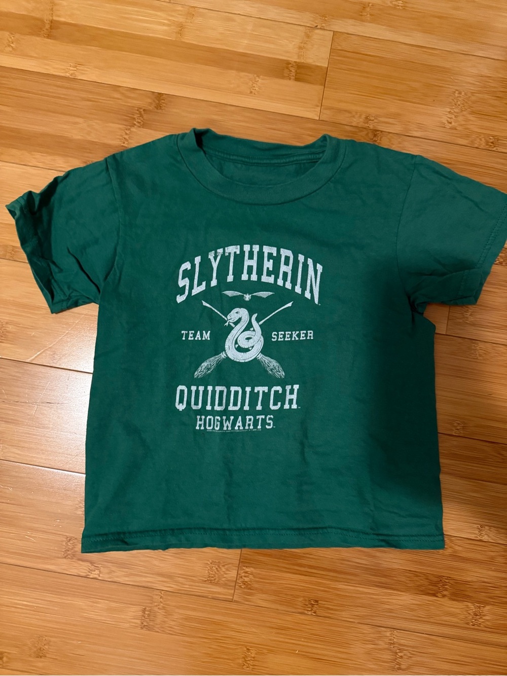 Boys Harry Potter Slitherin TShirt
